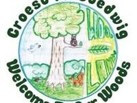 Welcome to Our Woods
